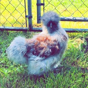 Meet your Posher, Natalie